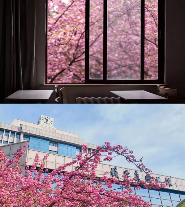 312a3d5bf91b0aa54a5a6a21ce802a3