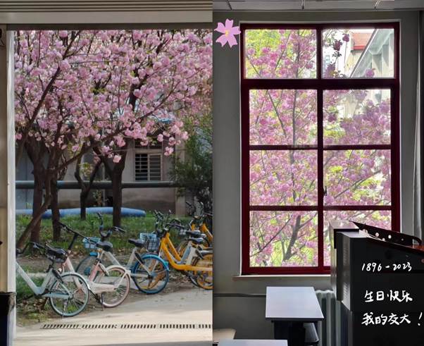 d820423feaaa893156a4e0316200a55